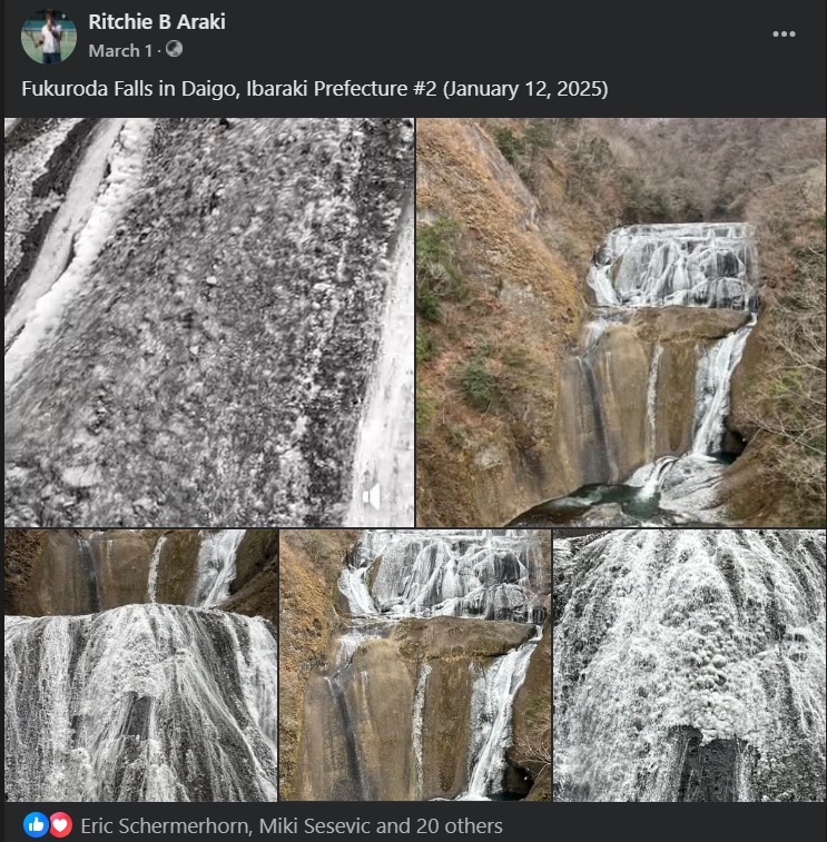 Facebook Post Preview