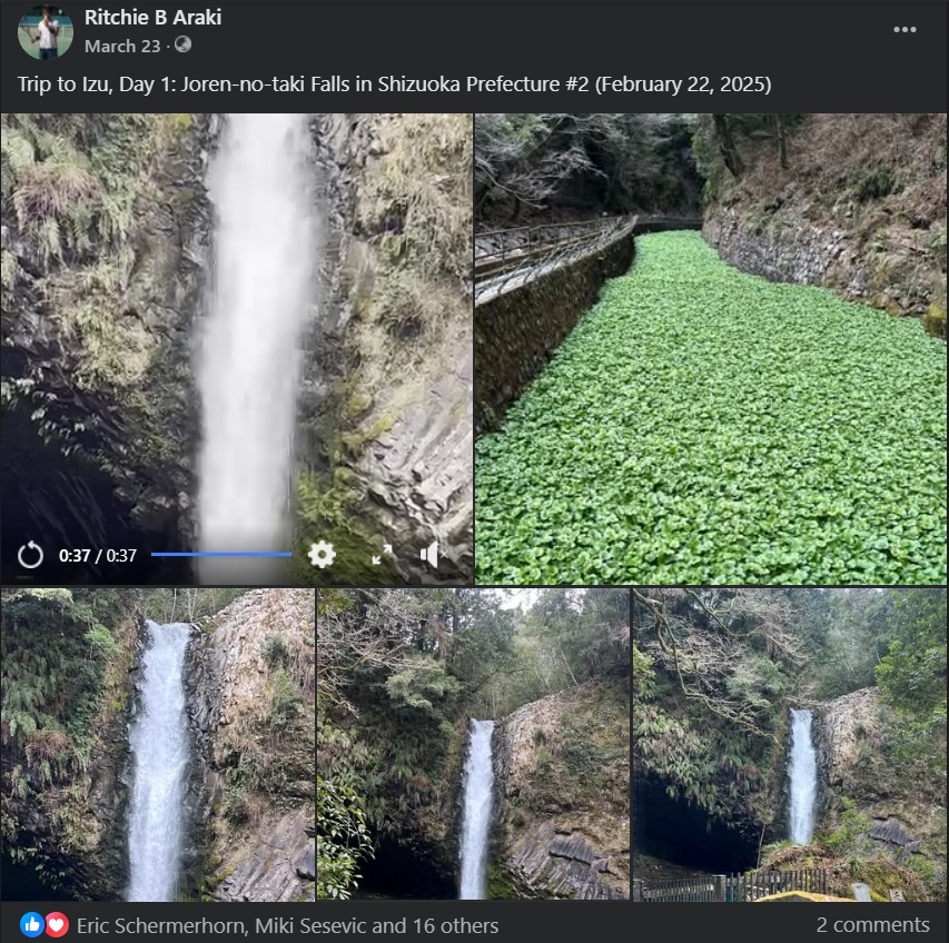 Facebook Post Preview