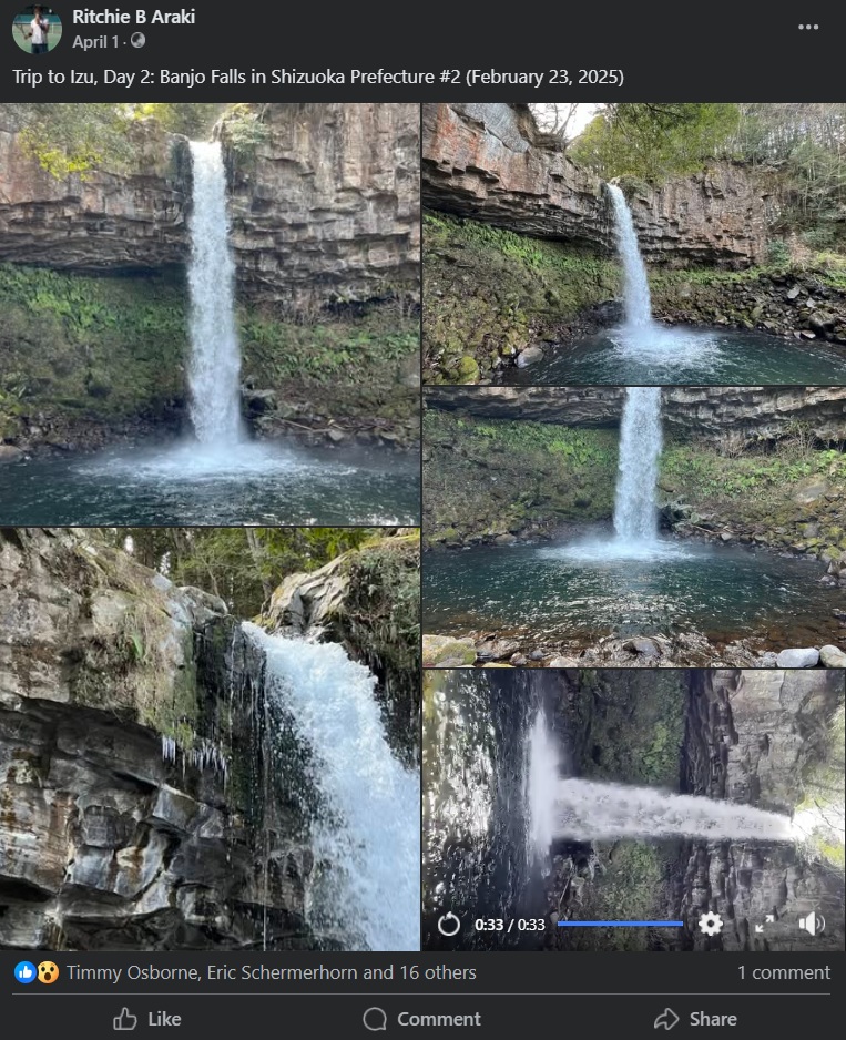 Facebook Post Preview