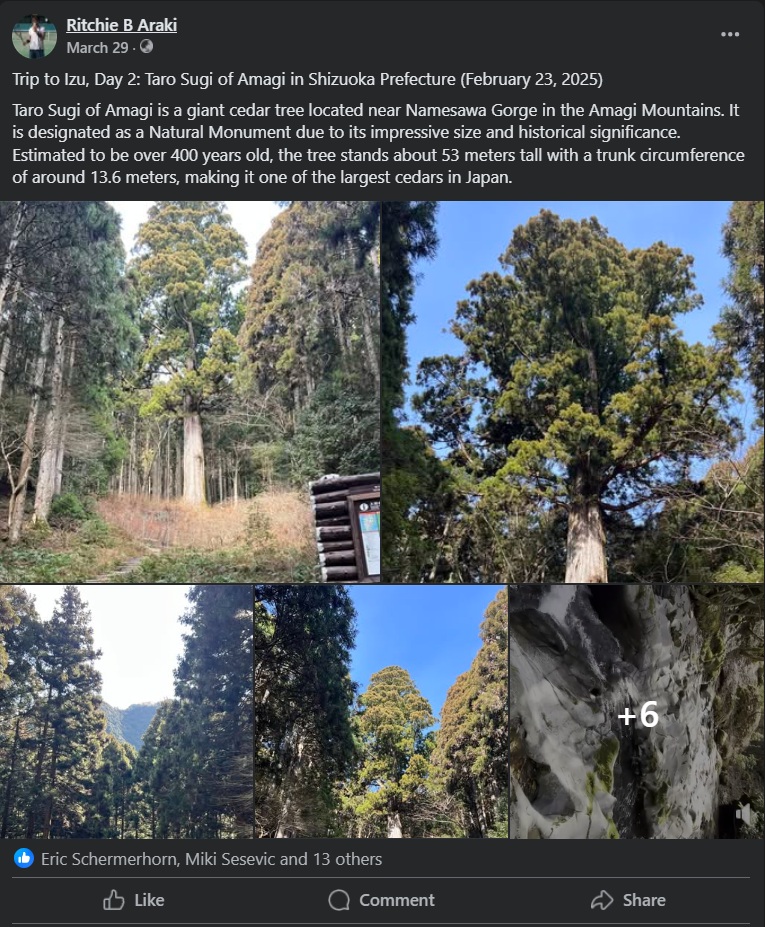 Facebook Post Preview